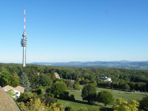 Apartamento Ferienwohnungen Familie Schwarze