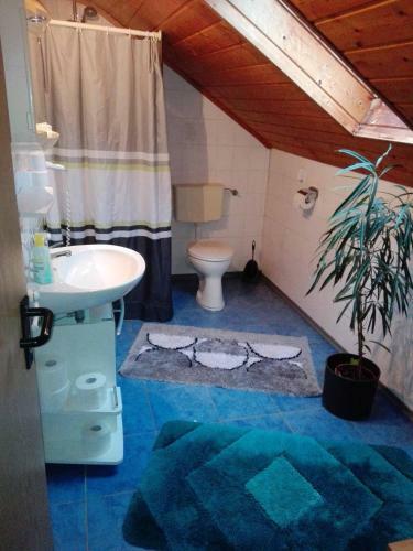Apartamento Ferienwohnung Dichtl