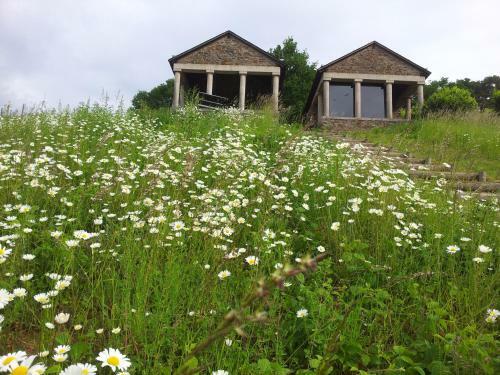 Hostal Ferienweingut-liebfried