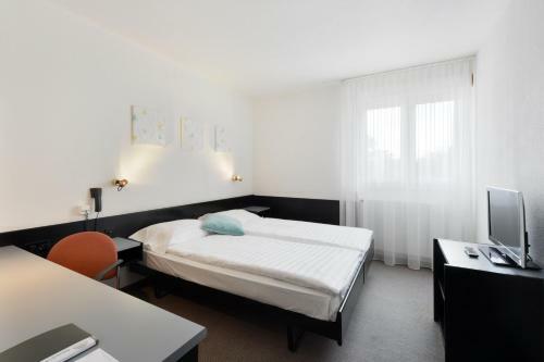 Hotel H�tel Des Mosaiques