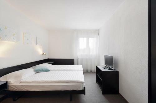 Hotel H�tel Des Mosaiques