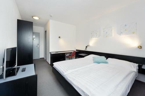 Hotel H�tel Des Mosaiques