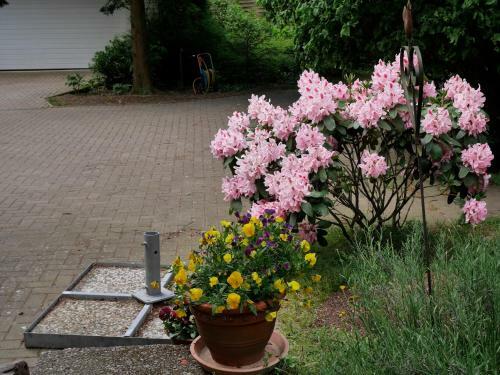 Bed & Breakfast Villa K�kenkamp