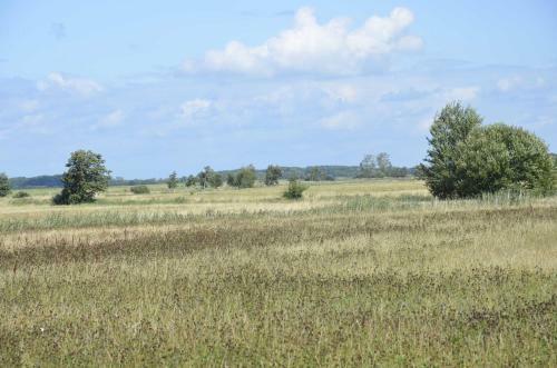 Apartamento Ferienwohnung Boddenblick
