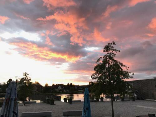 Seenario - Art & Health Hotel Am See