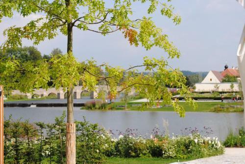 Seenario - Art & Health Hotel Am See
