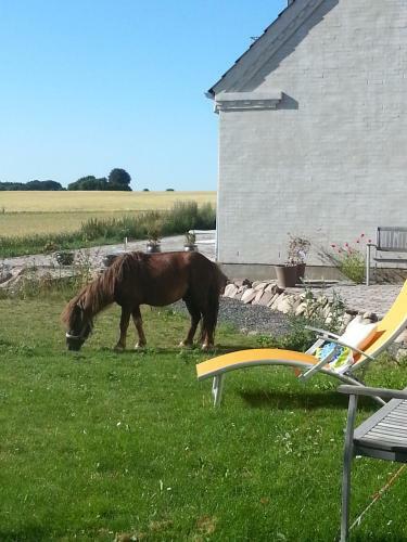 Roskilde B&B