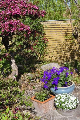 Hostal Guesthouse H�jland