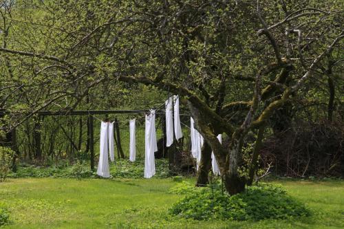 Bed & Breakfast Vemmetofte Pr�steg�rd
