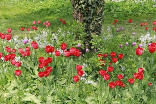 Bed & Breakfast Vemmetofte Pr�steg�rd