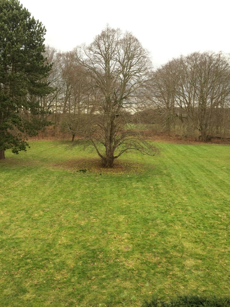 Bed & Breakfast �bjerggaard