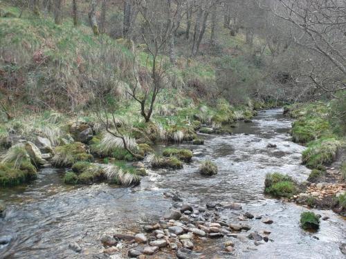 Albergue Xabar�n