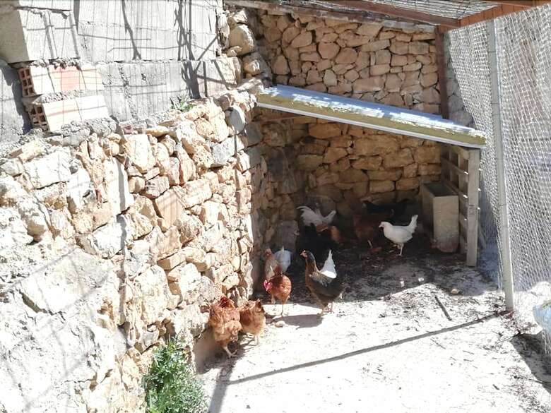 Agroturismo El Castillo De Celia