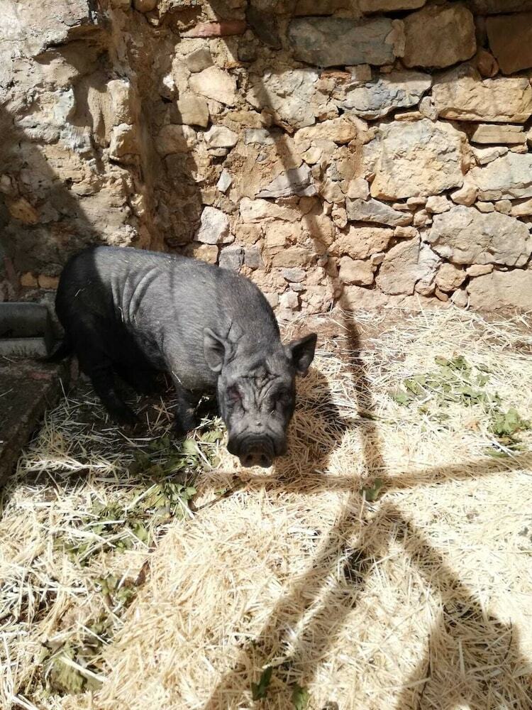 Agroturismo El Castillo De Celia