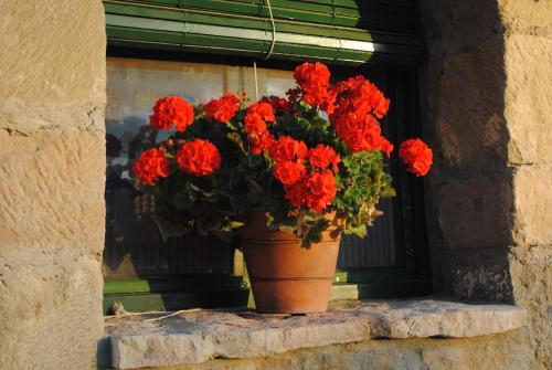 Agroturismo Guara Rural