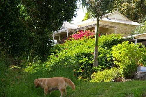 Lodge Cooroy Country Cottages