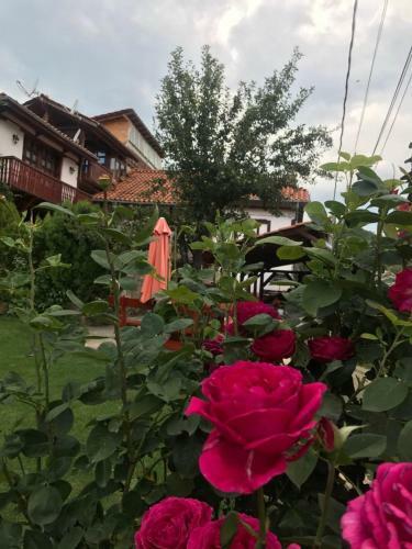 Hostal Sharkova Guest House