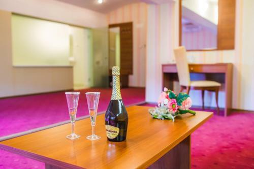 Spa Hotel Borova Gora