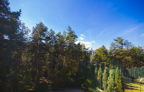 Spa Hotel Borova Gora