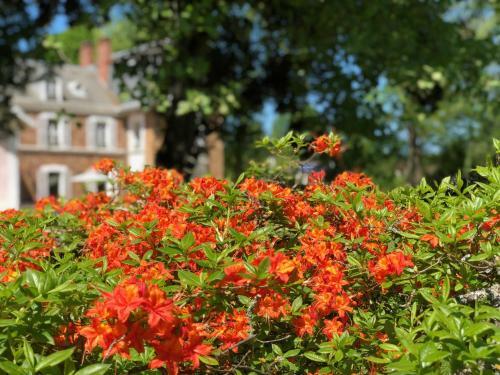 Bed & Breakfast La Villa Rochette