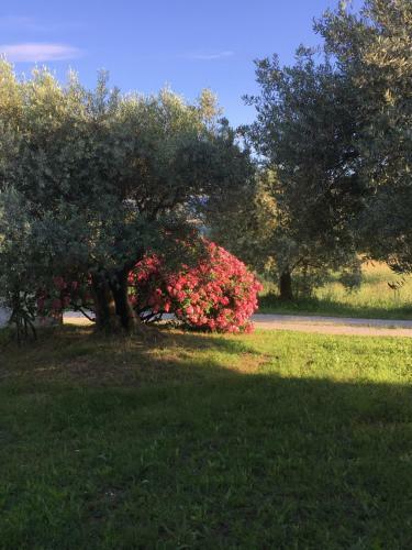 Bed & Breakfast Ferme Les Escuyers