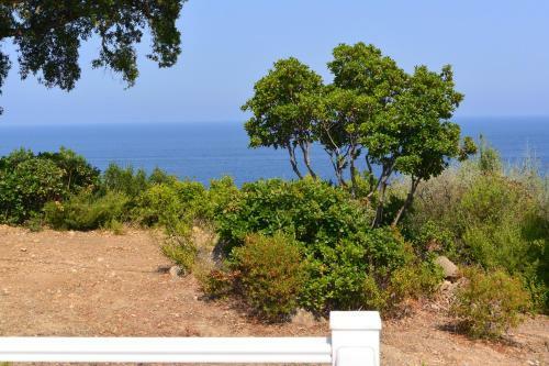 Villa Maviella