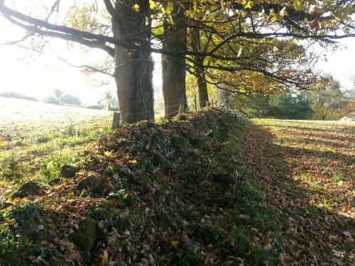 James Tymon Self-catering Cottage