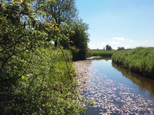 James Tymon Self-catering Cottage