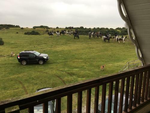 Bed & Breakfast The Curragh Country House Accommodation