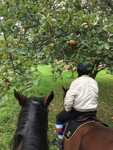 Agroturismo La Noalha Insolit'