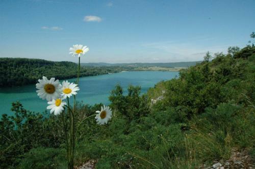 Chalet Des Planchettes
