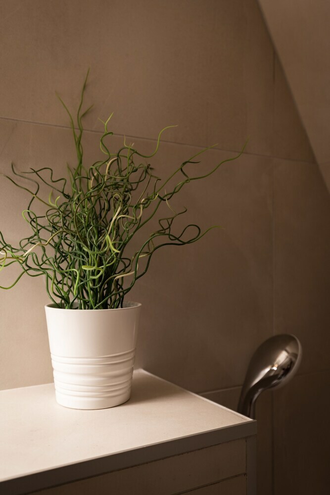 Apartamento Citycosy Strasbourg - Authentique Batelier