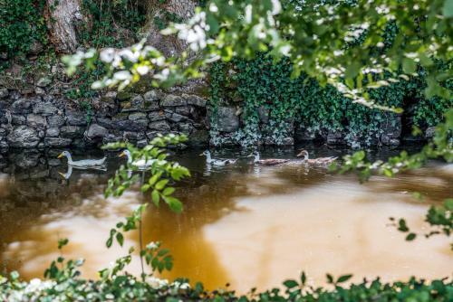 Agroturismo Trementines Chateau Sleeps 12 Pool Wifi