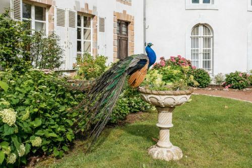 Agroturismo Trementines Chateau Sleeps 12 Pool Wifi