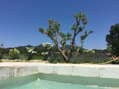 Bed & Breakfast C�t� Dentelles