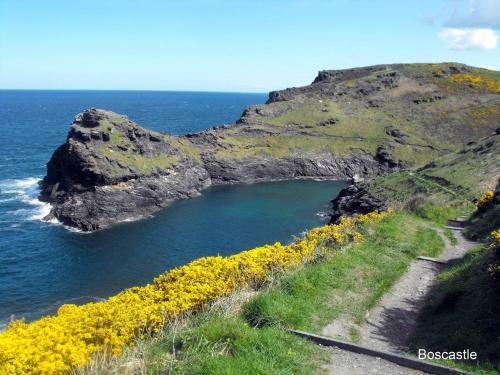Ingledene, Boscastle