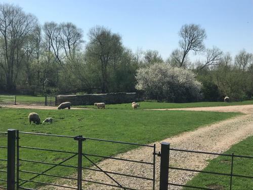Agroturismo Weatherhead Farm