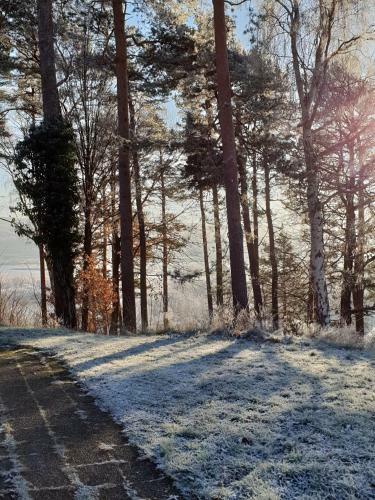Albergue Nordiska Folkh�gskolan Bed And Breakfast