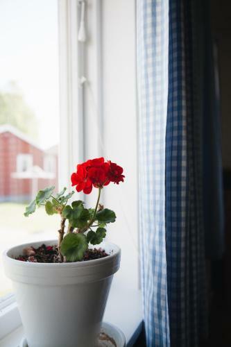 Hostal Visings� Vandrarhem