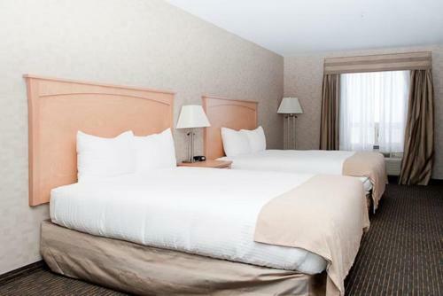 Hotel Paradise Inn And Suites