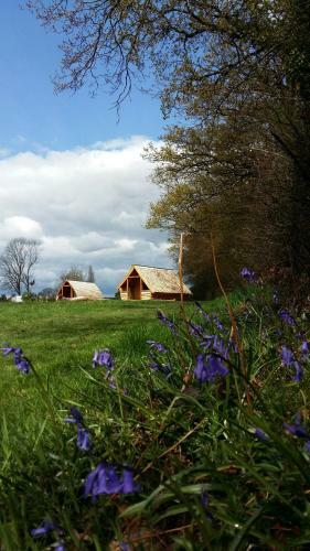 Glamping At Long Acres