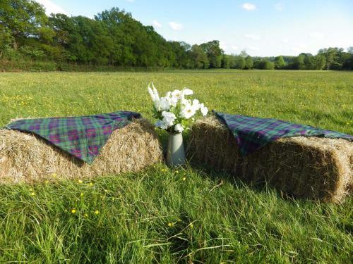 Glamping At Long Acres