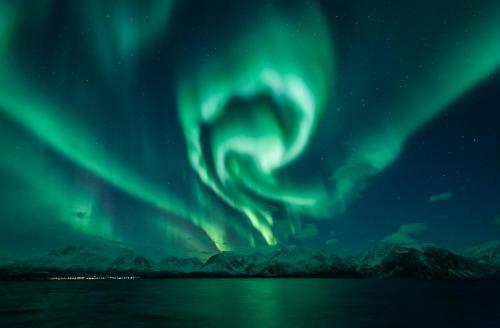 Magic Mountain Lodge - Lyngen