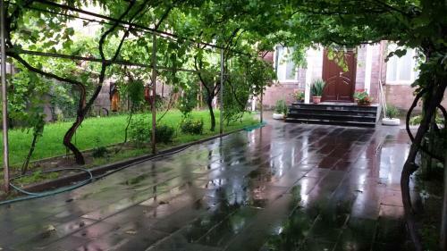 Hostal Olimpo Guest House