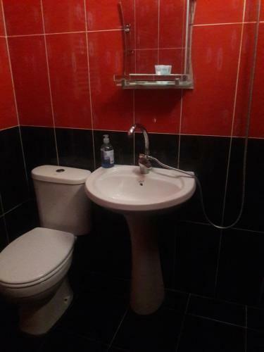 Hostal Ira & Vaso's Apart Hotel Borjomipark