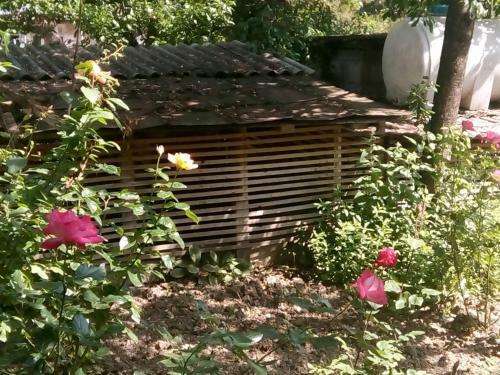 Apartamento Guest House Borjomi