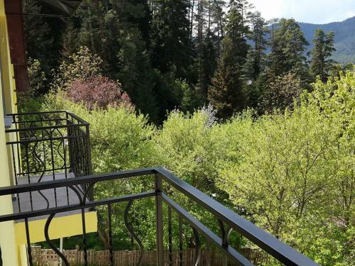 Hostal Guest House Borjomi Forest