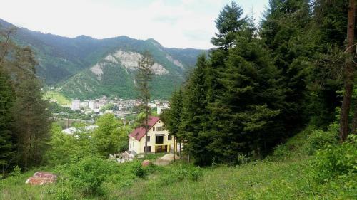 Hostal Guest House Borjomi Forest
