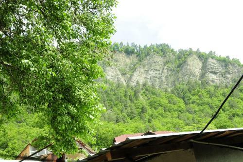 Hostal Guest House Fridon