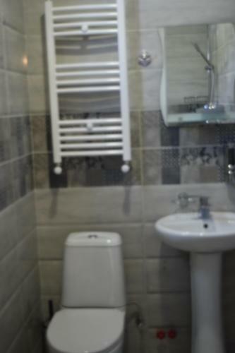 Hostal Traveler Kazbegi Guesthouse